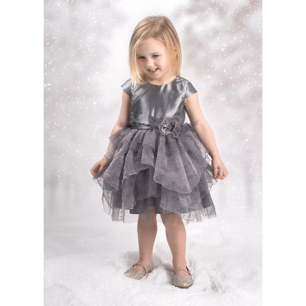 Isobella & Chloe Siver Fancy Baby Infant Girls Dress NWT 24M Last 1